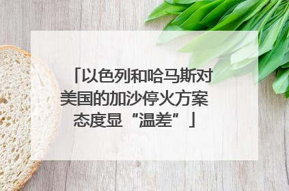 以色列和哈马斯对美国的加沙停火方案态度显“温差”